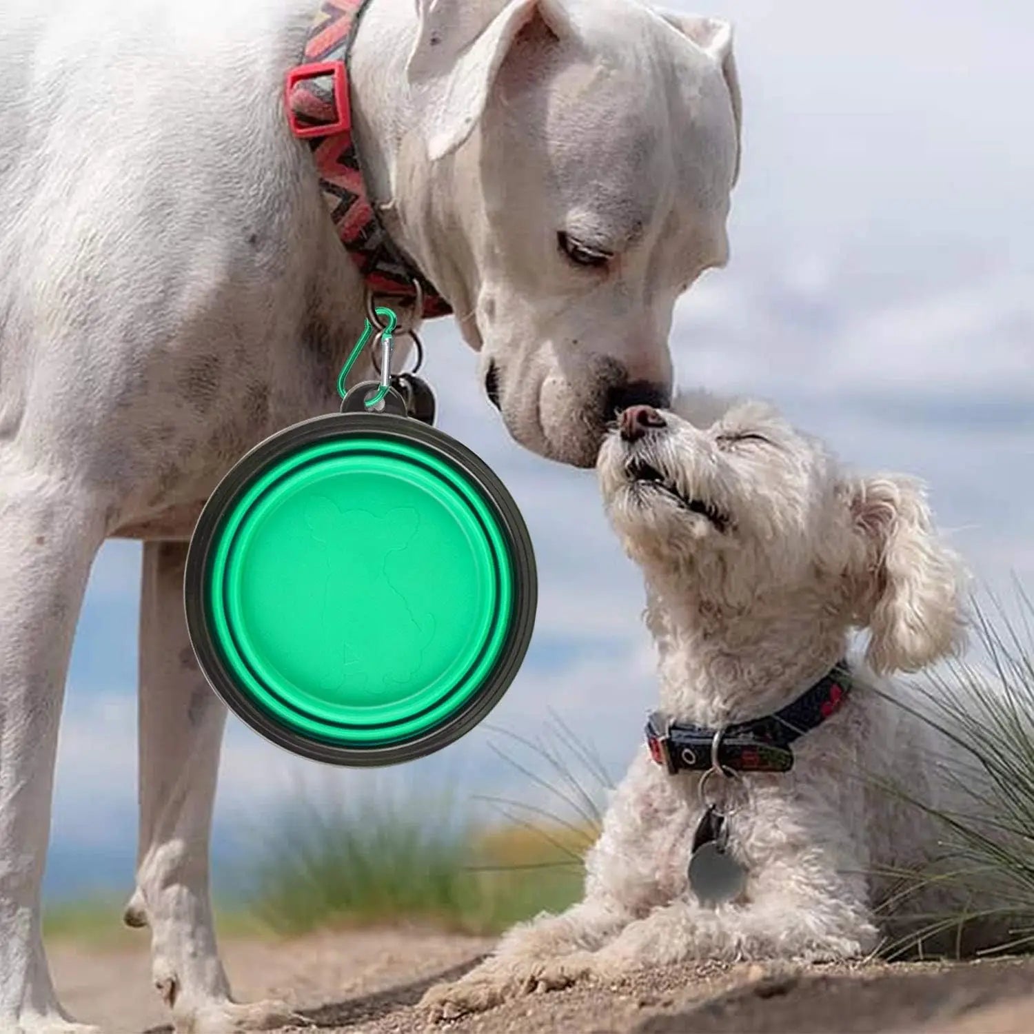 Portable Silicone Pet Bowl - Collapsible Dog Food & Water Dish with Carabiner, Summer Camping Feeder for Outdoor Travel