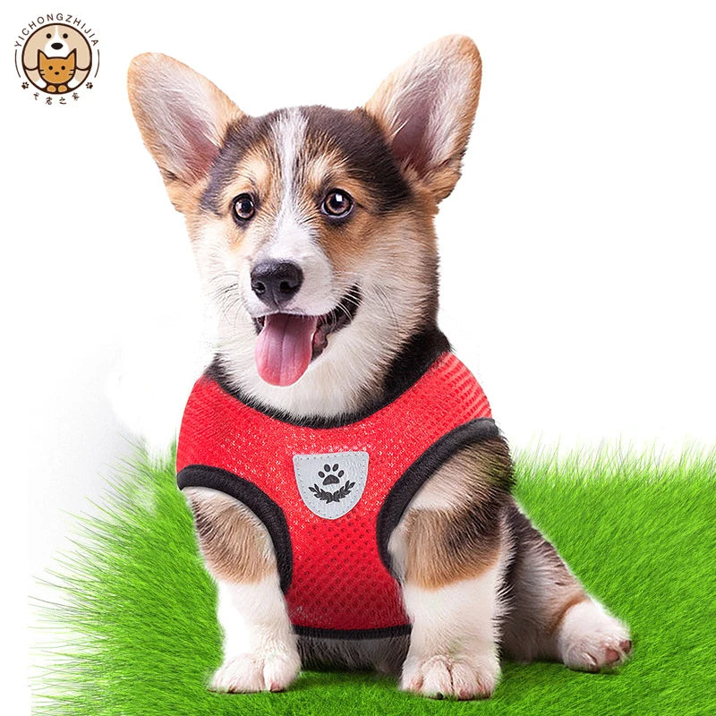 Cat Harness Vest Walking Lead Leash For Puppy dog Collar Polyester Adjustable Mesh Dog Harness For Small Medium Pet Accessories