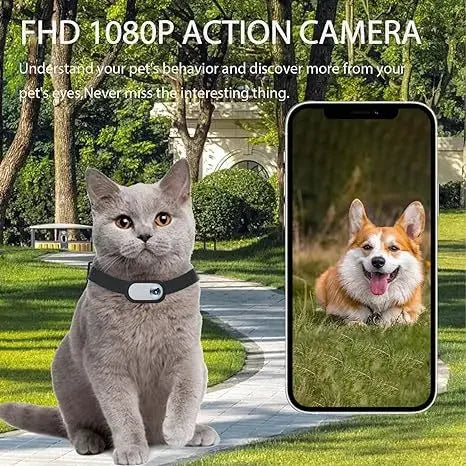 Pet Supplies Cat Dog Collar Camera Outdoor Exercise Camera Video Mini Body Camera